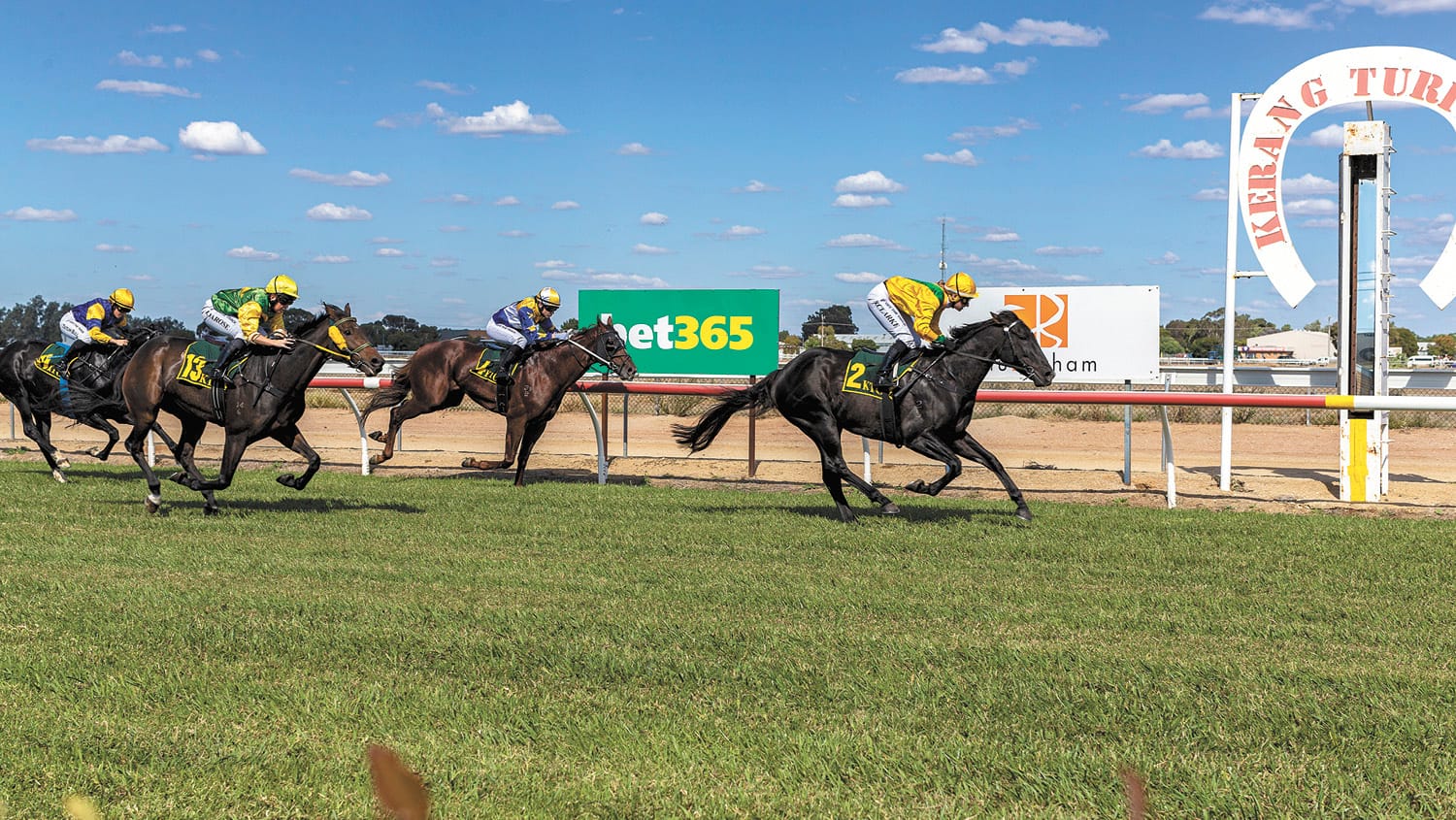 J & M Chaser Bins Maiden Plate