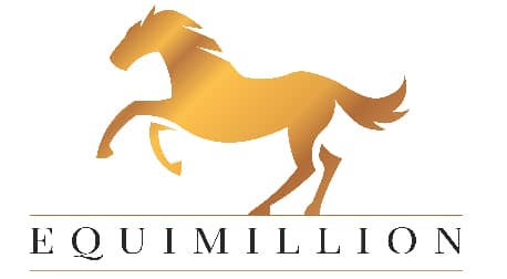 Equimillion logo