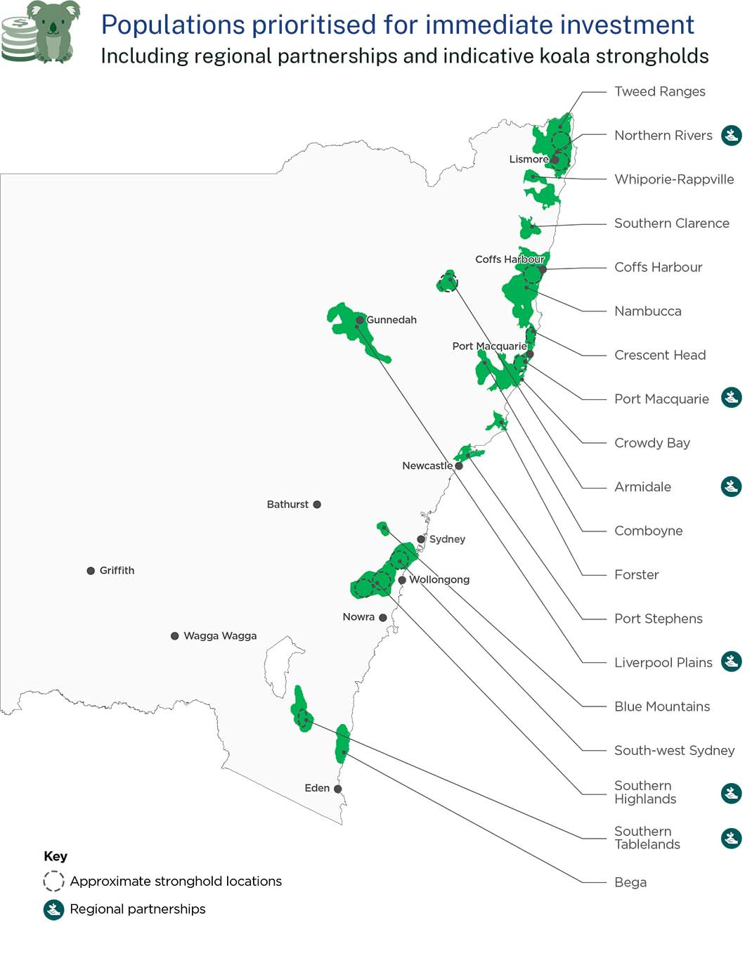 koala population graph