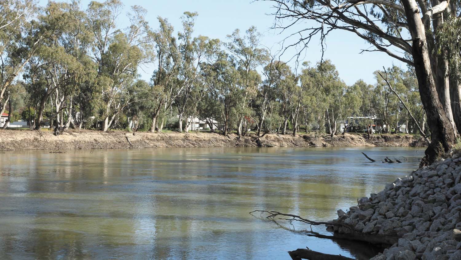 The Murray at Barham