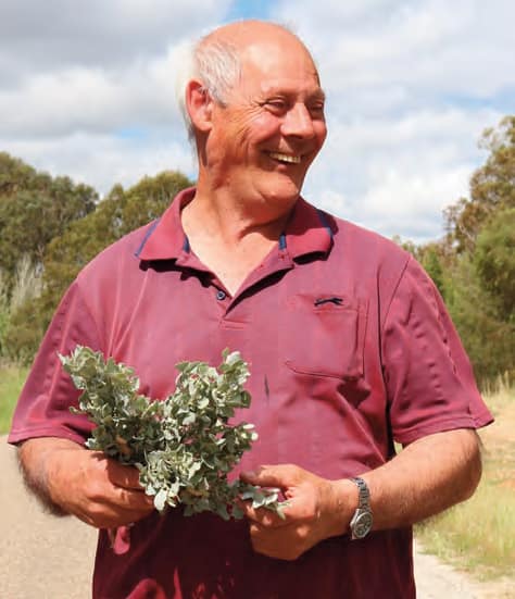 Michael Lyons