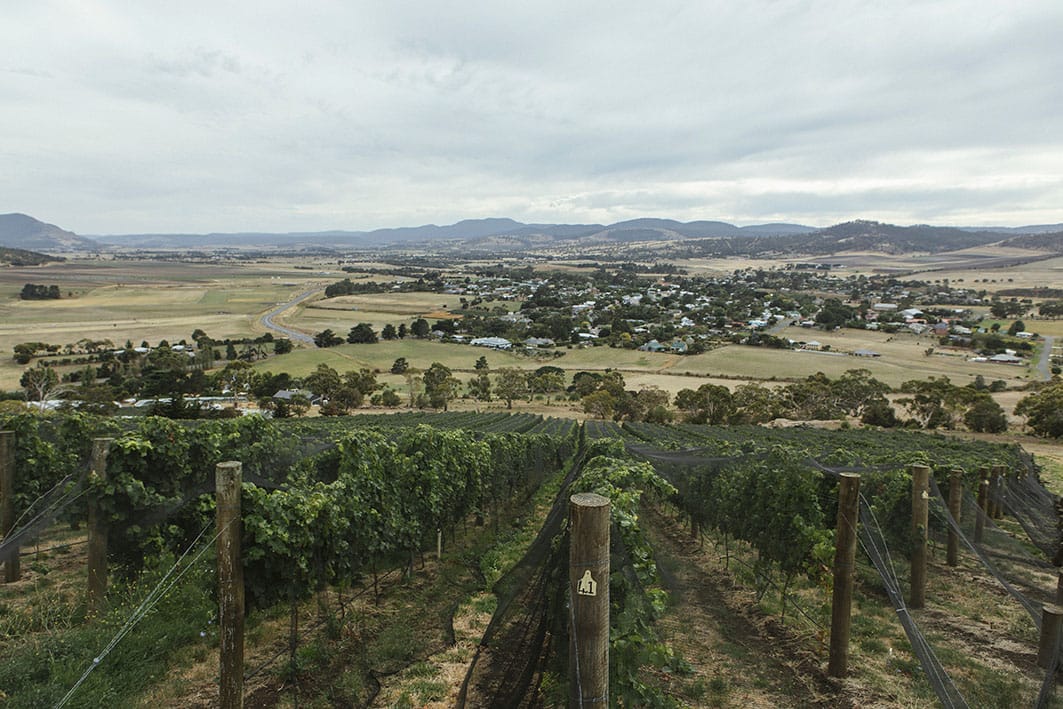 Pooley WinesTasmania