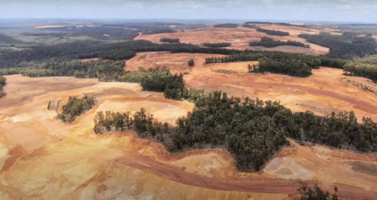 Cleared jarrah forest