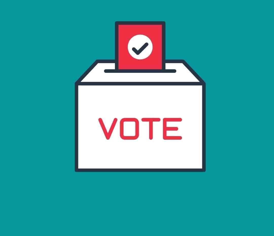 Vote graphic