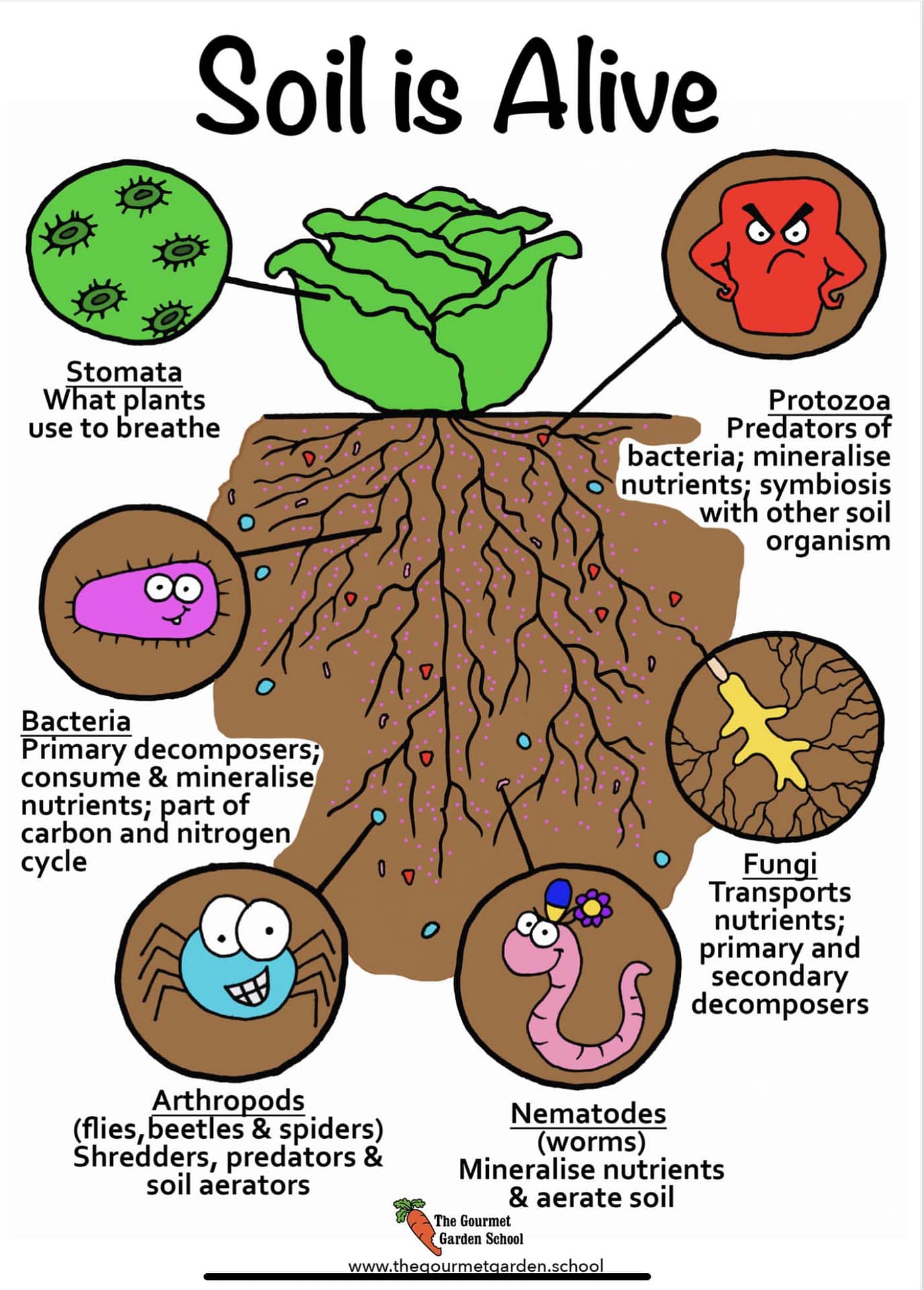 Soil diagram