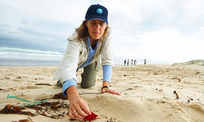 Marine debris