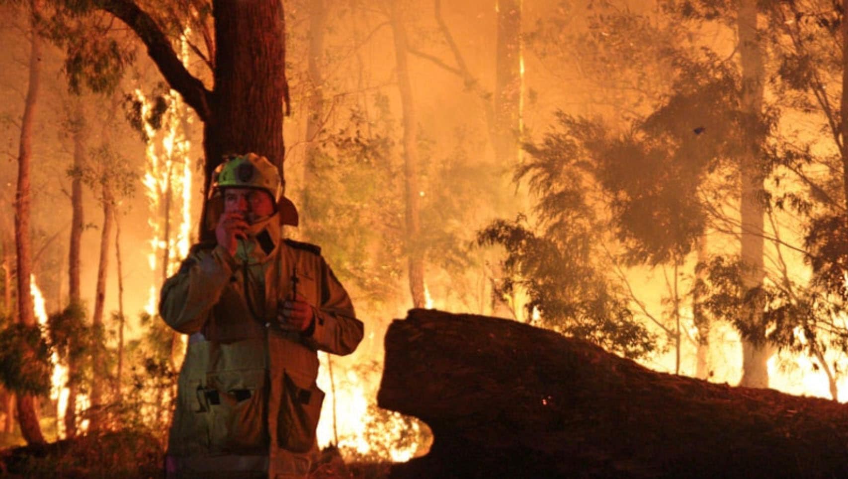 Northcliffe fire