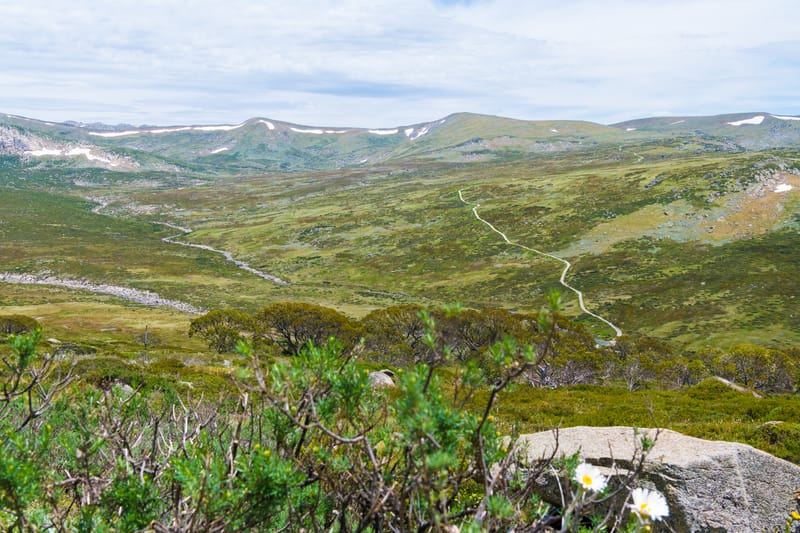 Kosciuszko National Park