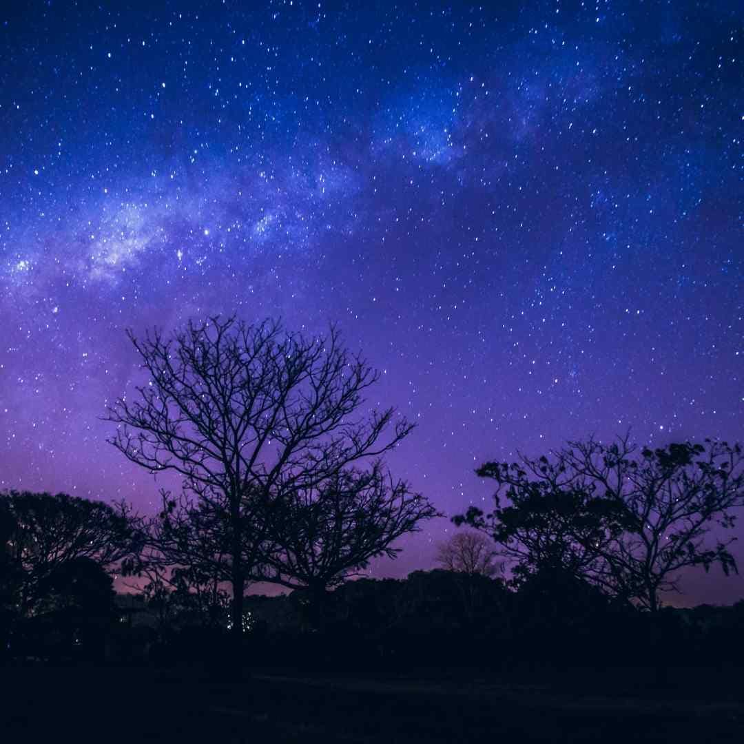 Stars