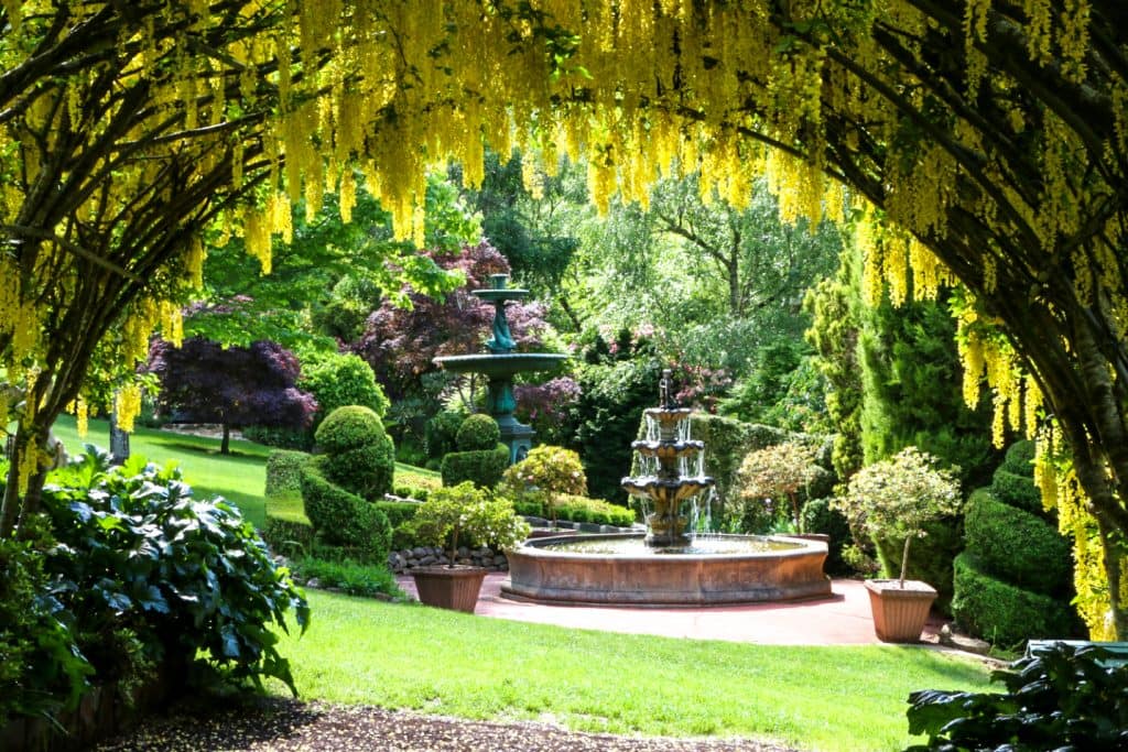 Forest Glade Gardens Mount Macedon