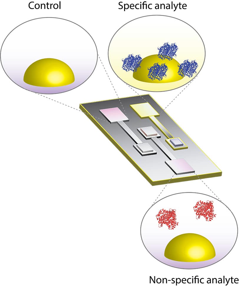 Lab on a chip