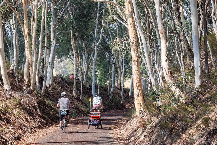 Tumbarumba to Rosewood Rail Trail
