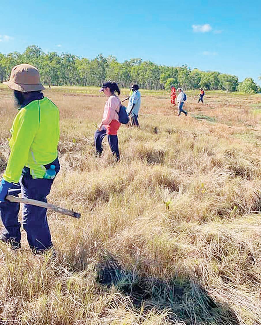 Locals and SES members formed line searches across bushland.