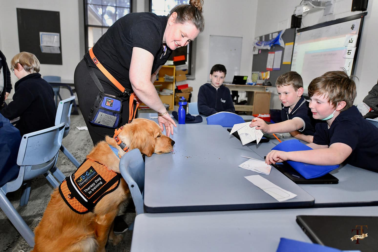 Part of the session with the prep/1 students was to draw the therapy dogs, Mo and Archie.