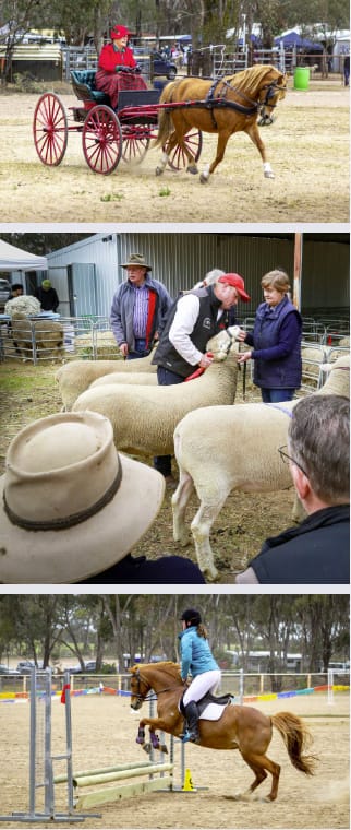 Maldon Show