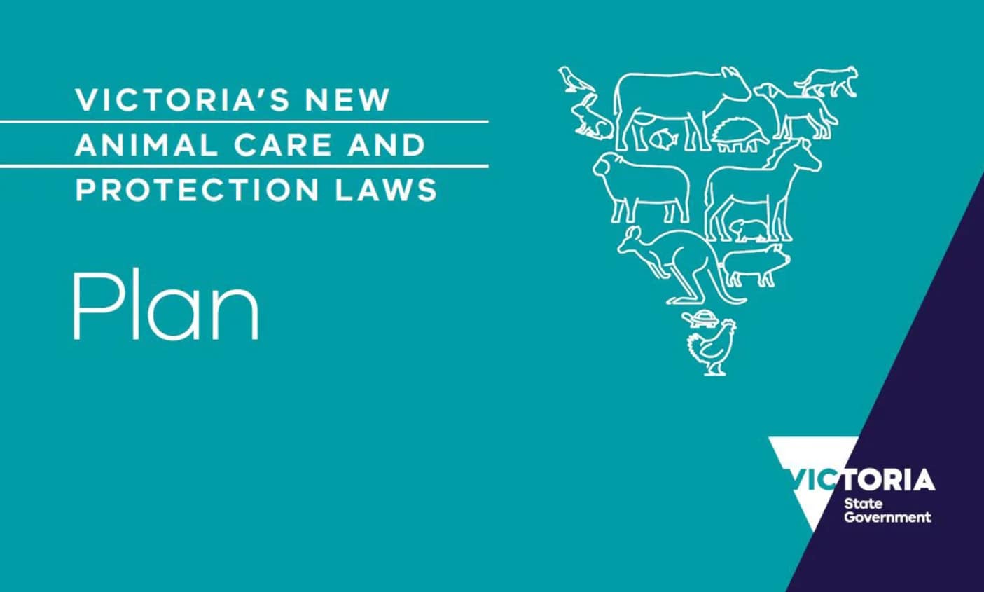 Vic Animal Care and Protection Laws Plan