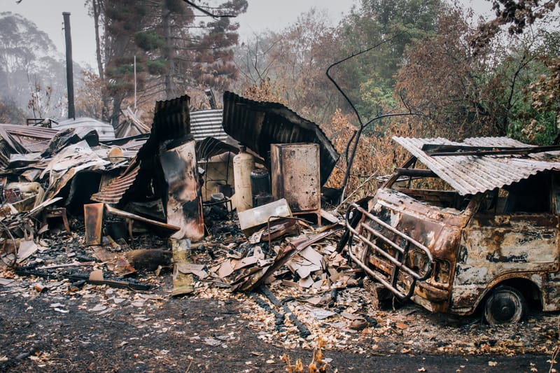 Bushfire aftermath
