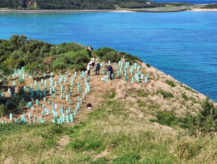 Blackburn Island
