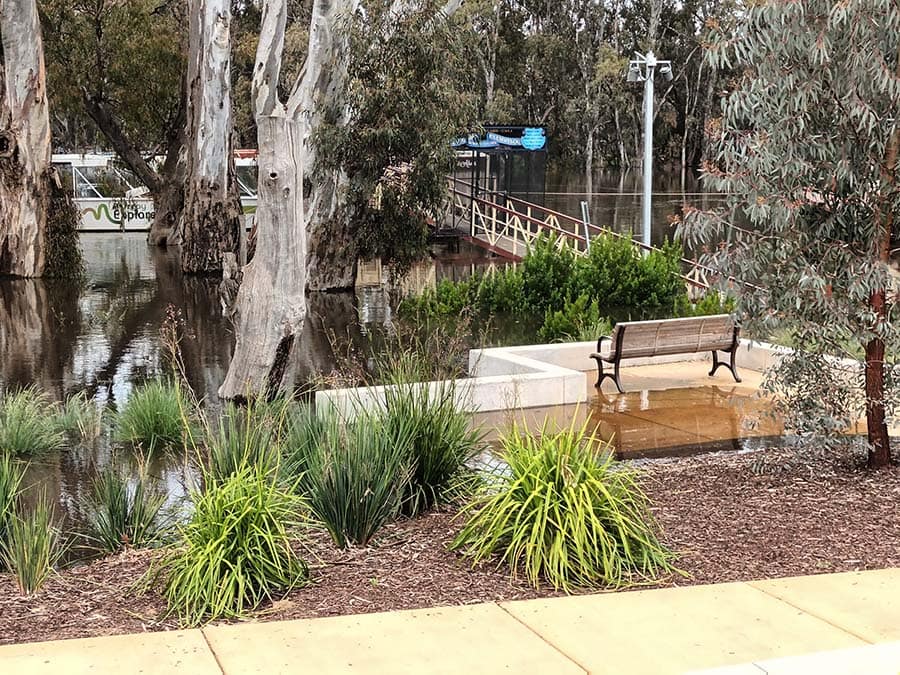 The Murray at Echuca