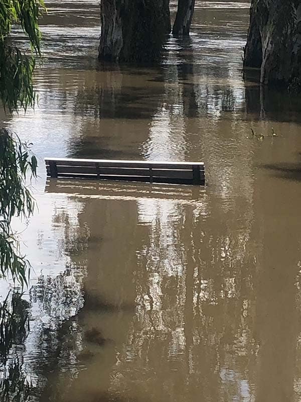 Echuca bench 25 October 2022
