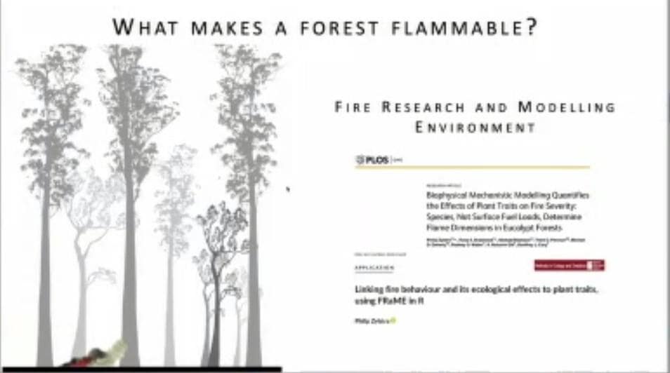 What makes a forest flammable diagram