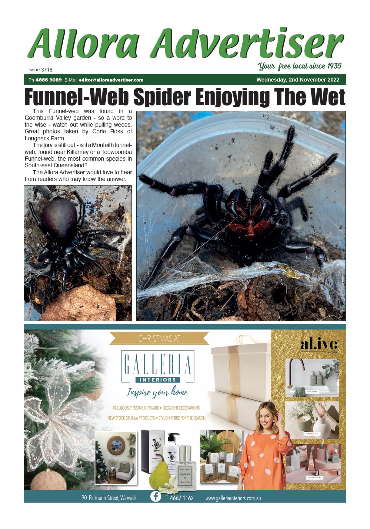 Allora Advertiser 2 November 2022