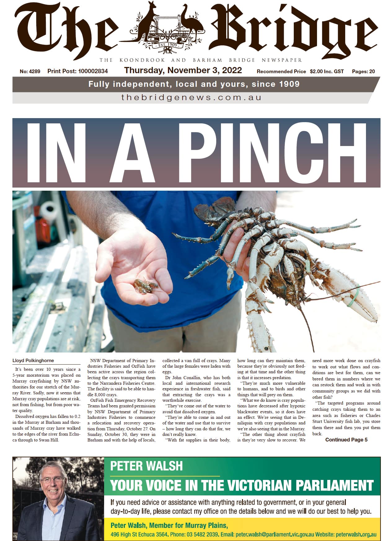 The Koondrook and Barham Bridge Newspaper 3 November 2022