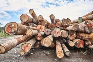 Logs