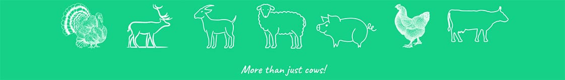 More than just cows