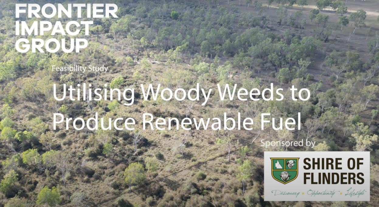 Using woody weeds