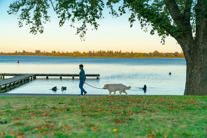 Lake Wendouree Ballarat