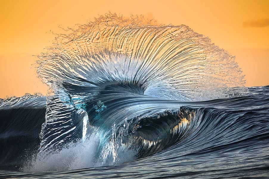 Eyelash by Matt Blakers