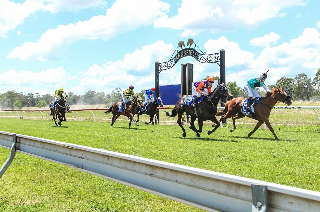 Mansfield Country Races