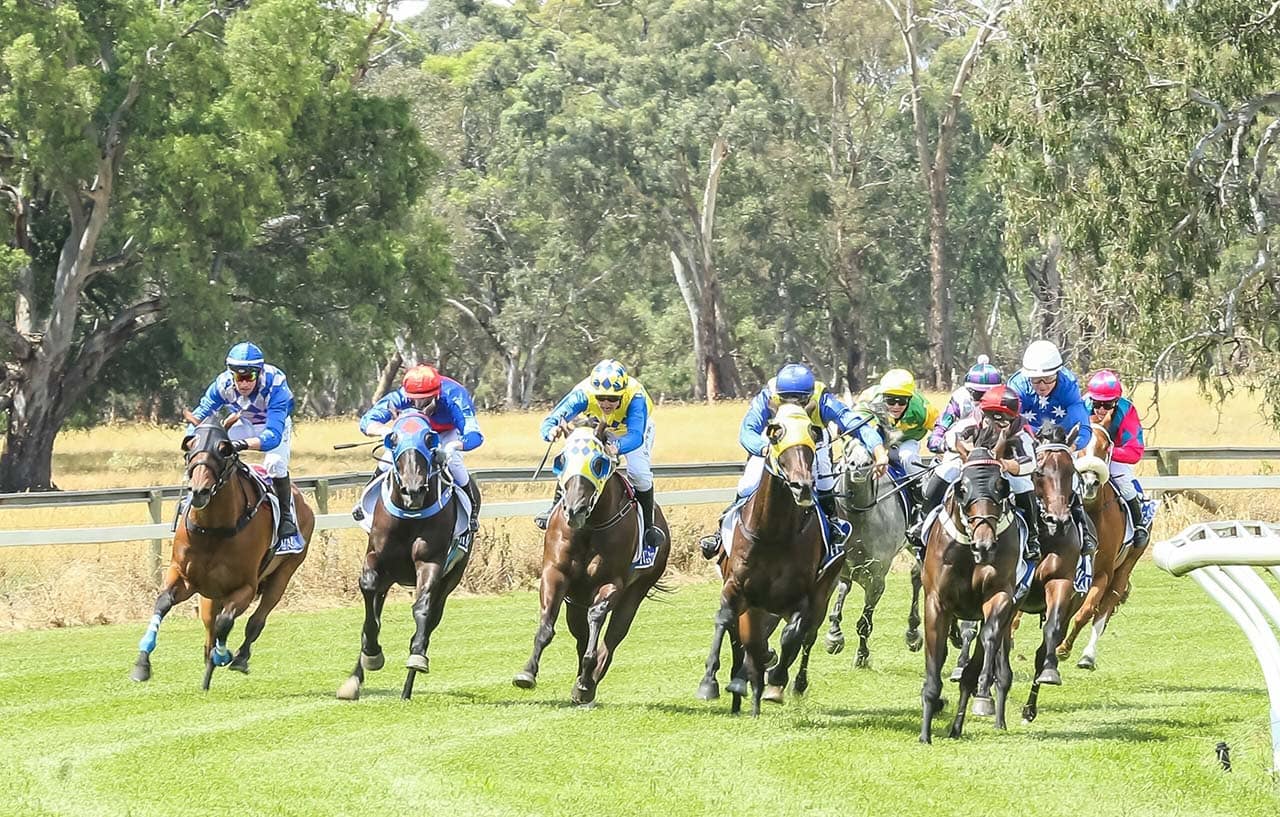 Mansfield Country Races