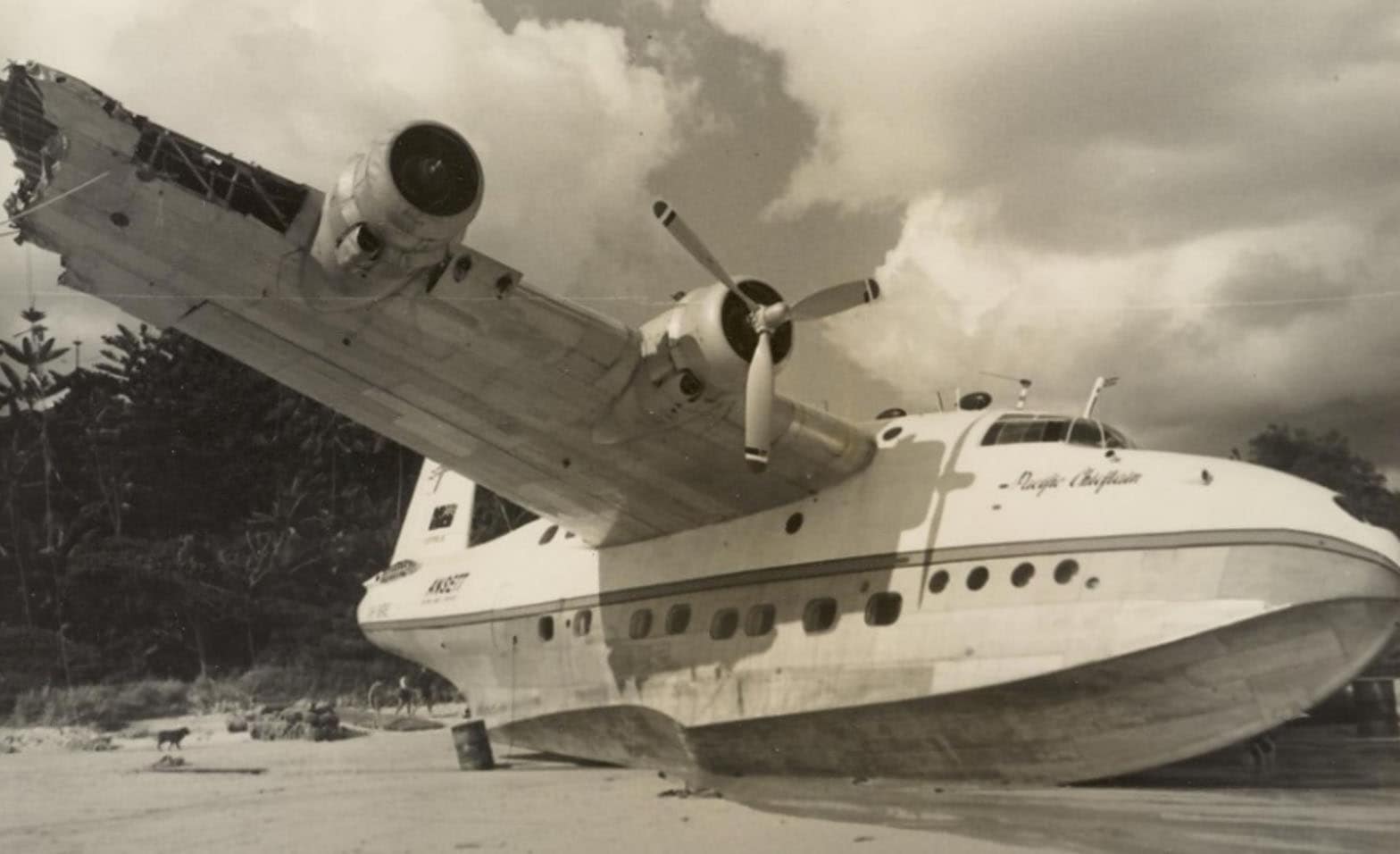 Pacific Chieftain