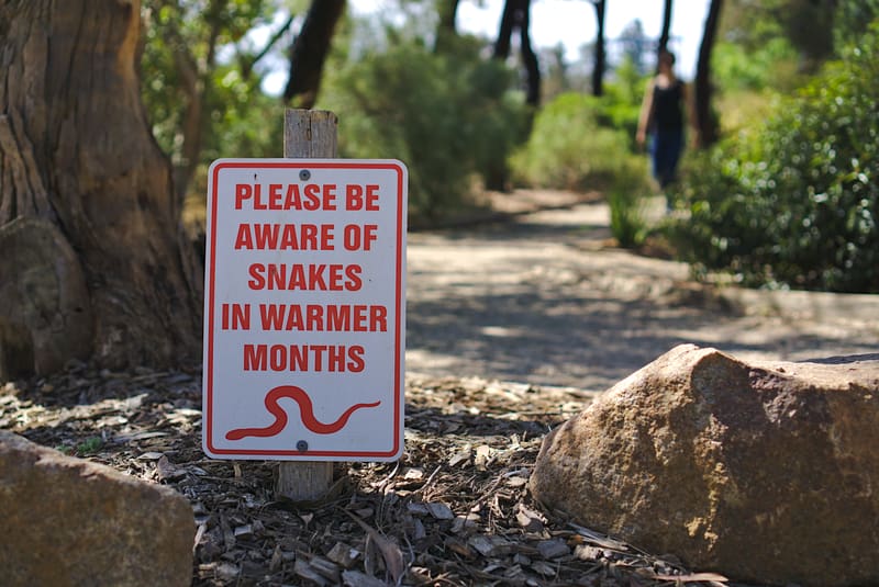 Be aware of snakes sign