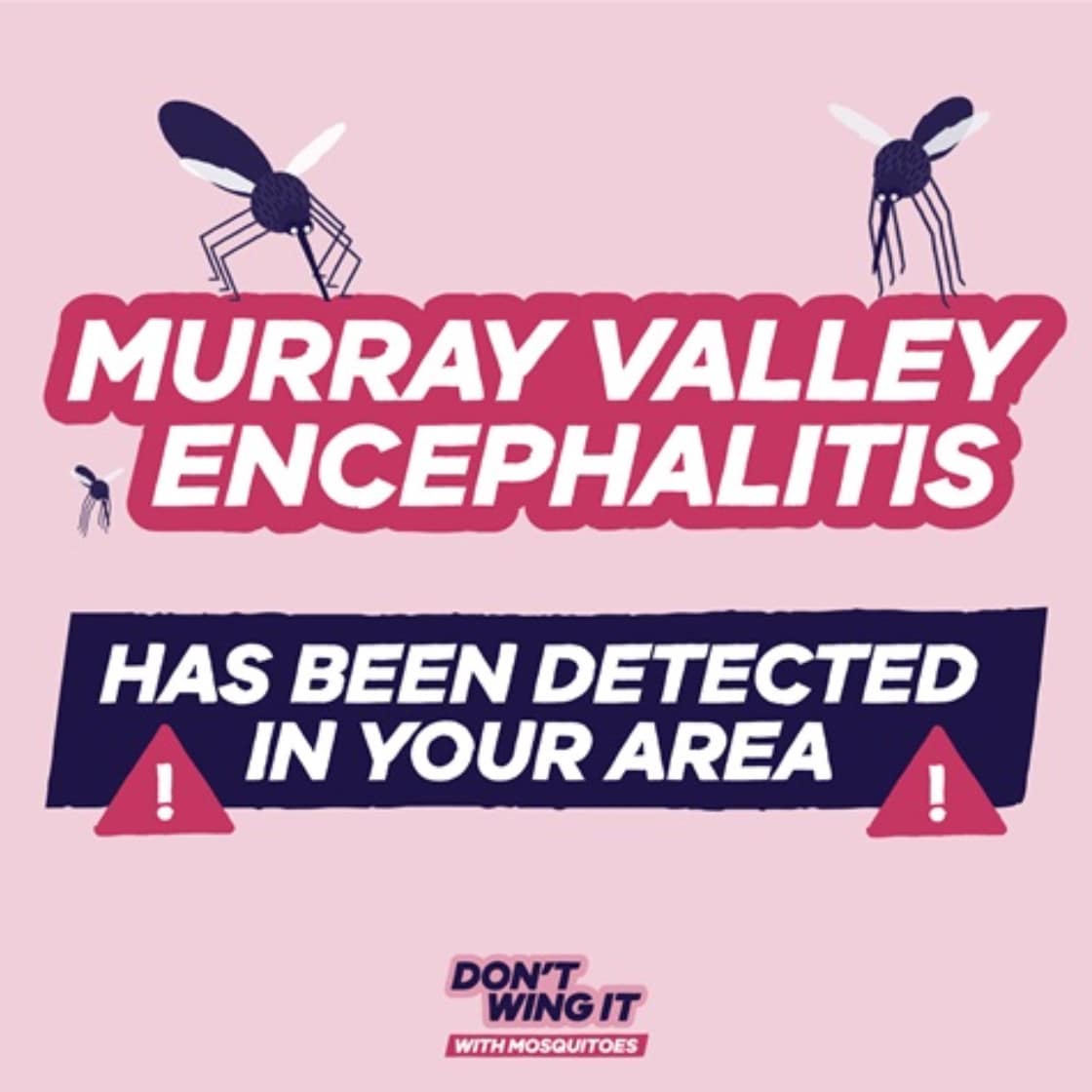 MVE Graphic
