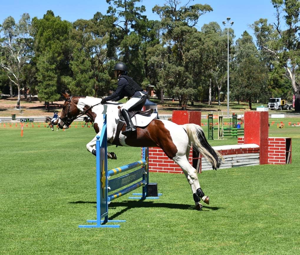 Showjump