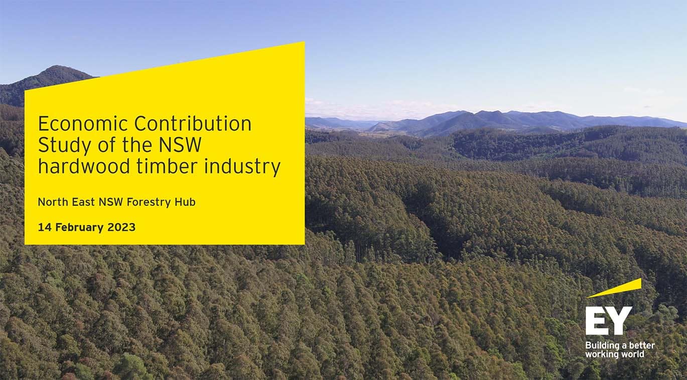 EY Report cover