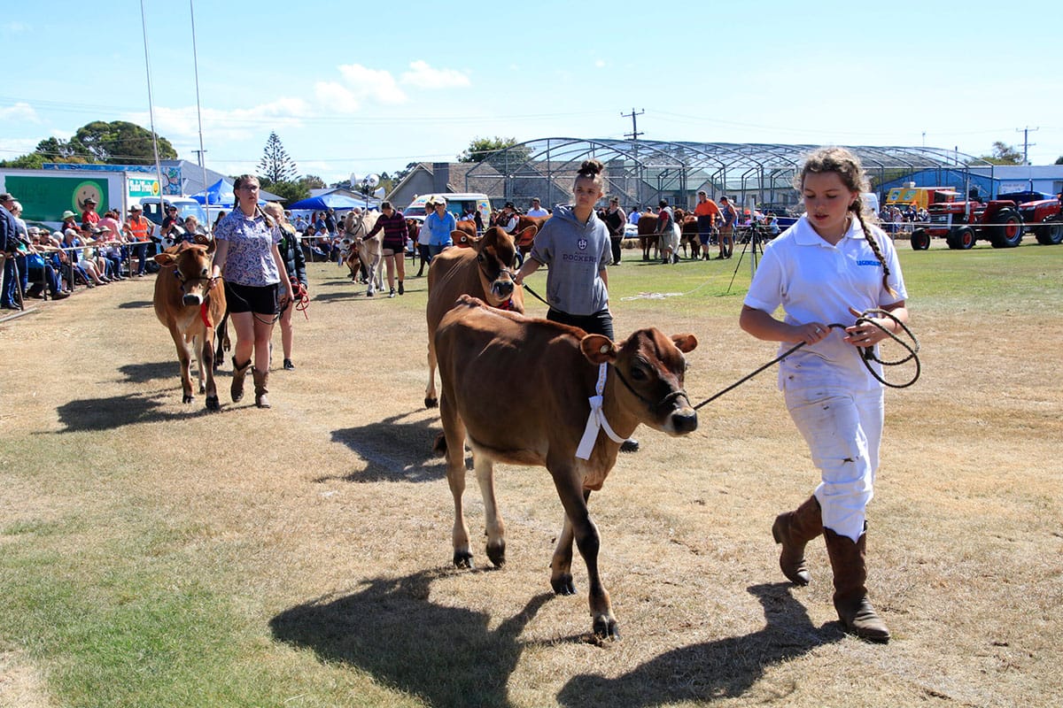 Wynyard Show