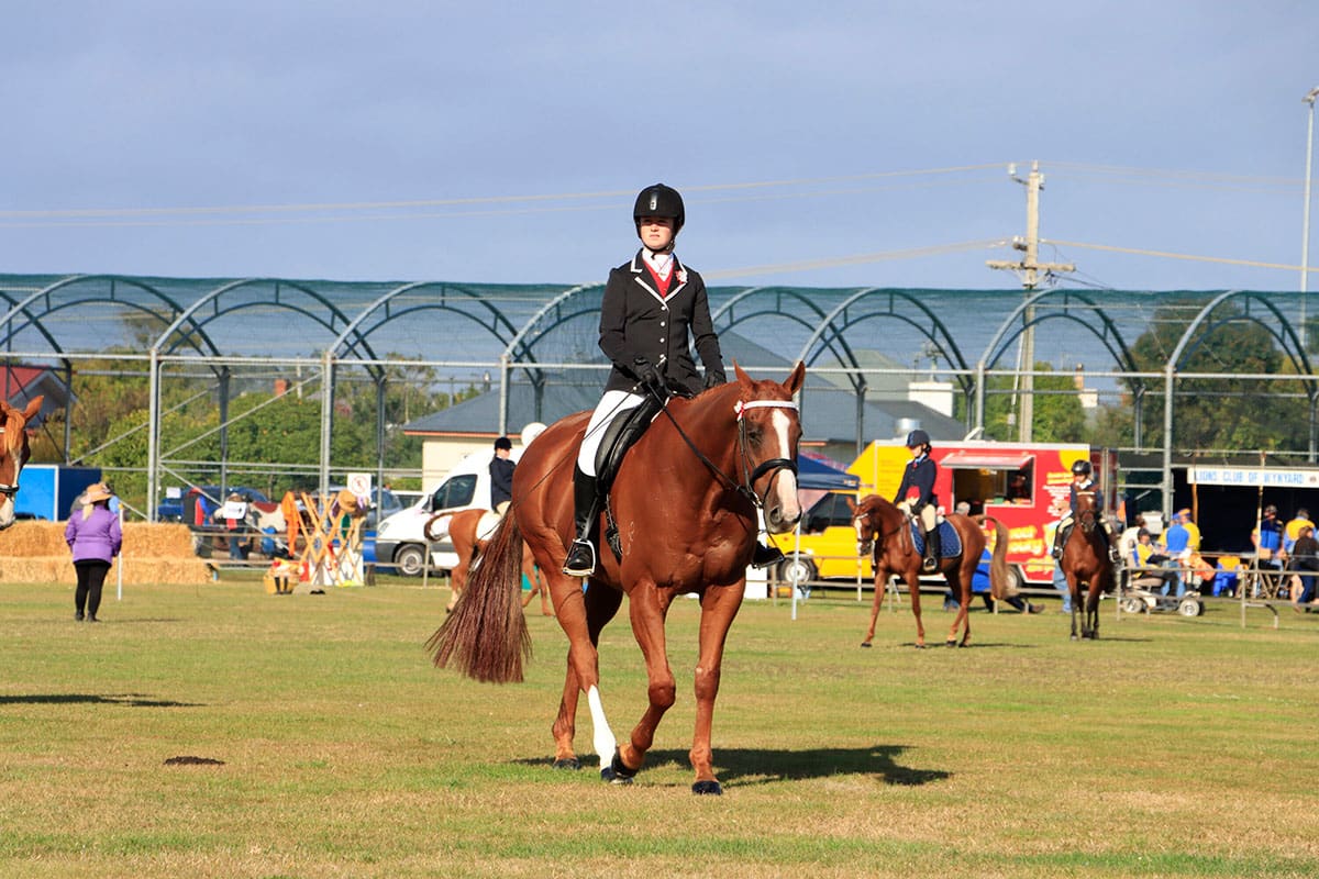Wynyard Show