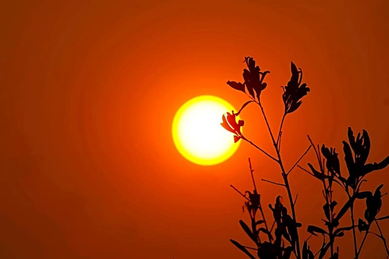 Bushfire sunset
