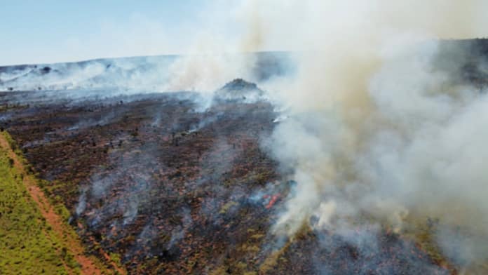 savage bushfire threat
