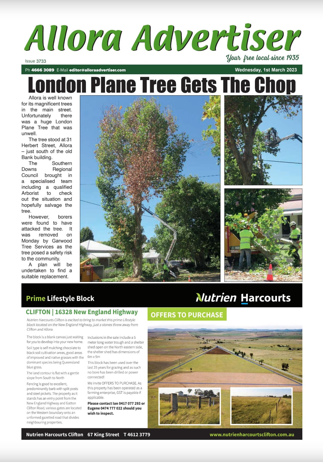Allora Advertiser 1 March 2023