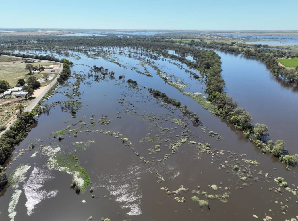 Flooded Murray at Berri