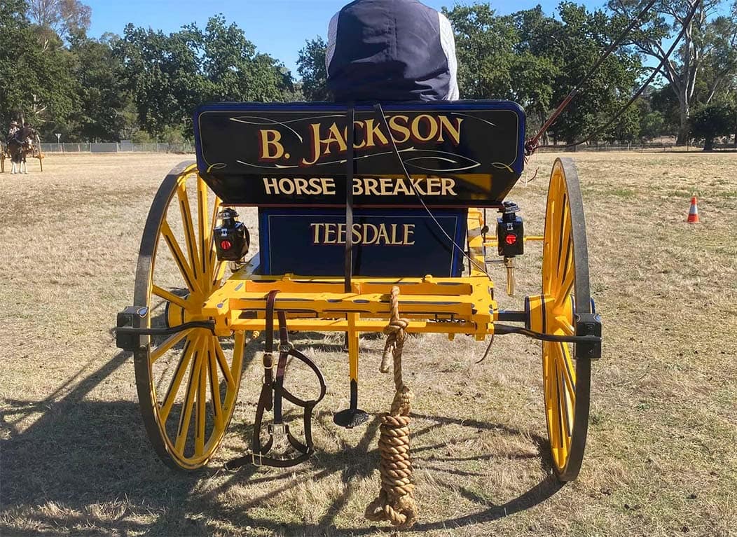 Horse breaker turnout