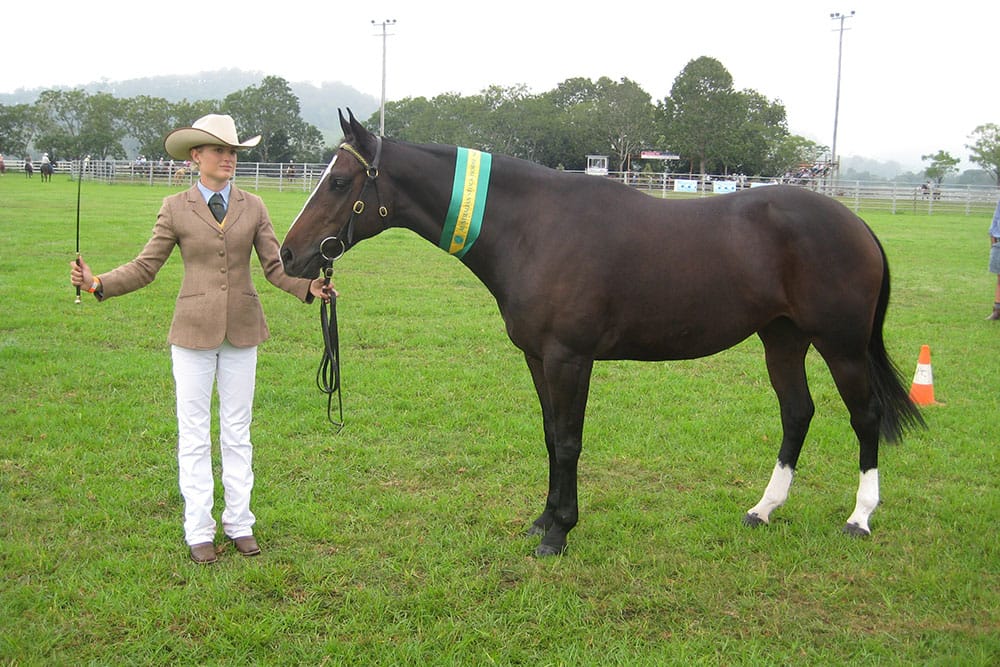 A Lady with horse