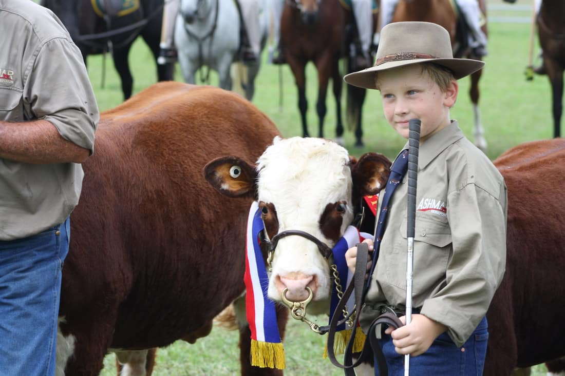 A boy wih calf