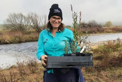 Corryong Angling Club’s Shea Bloom with a tray of trees ready for planting.
Photo: Corryong Courier