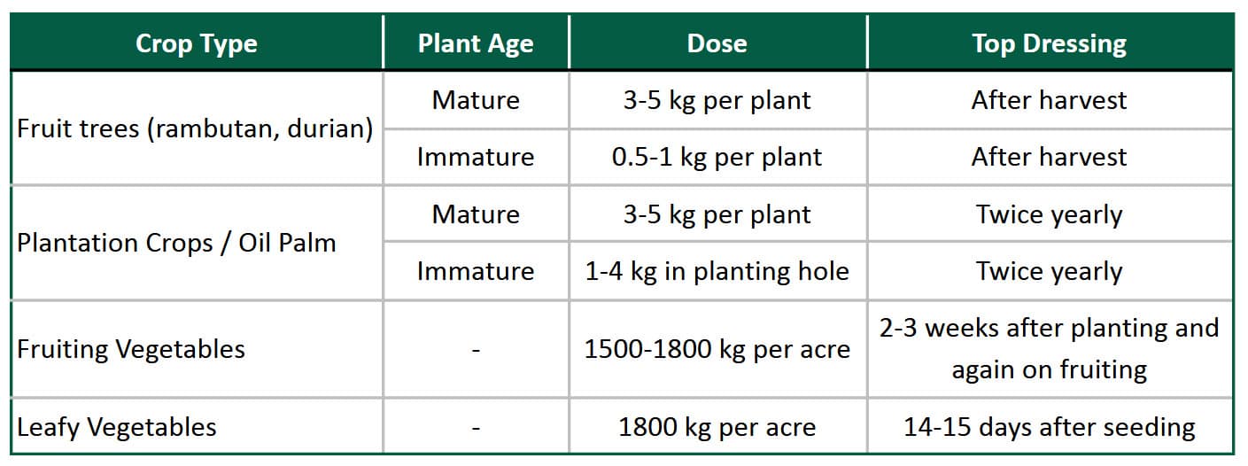 Diptia guidance